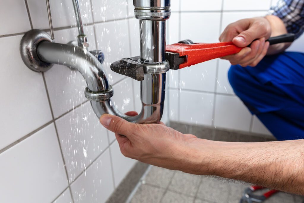 Plumber in Cardigan